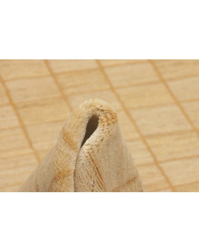 Tappeto Shayan Fine Pakistan giallo 159x232