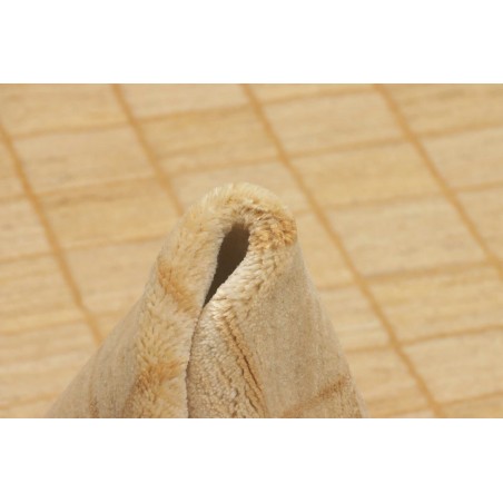 Tappeto Shayan Fine Pakistan giallo 159x232