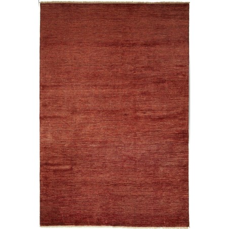 Tappeto Shayan Pakistan marrone 204x299