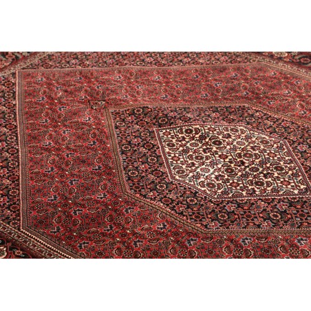 Tappeto Bidjar con seta Persia grigio viola 168x246