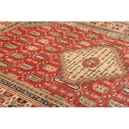 Tappeto Kazak Fine Pakistan marrone grigio 204x308