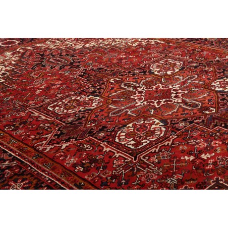 Tappeto Gorawan Persia marrone giallo 252x367