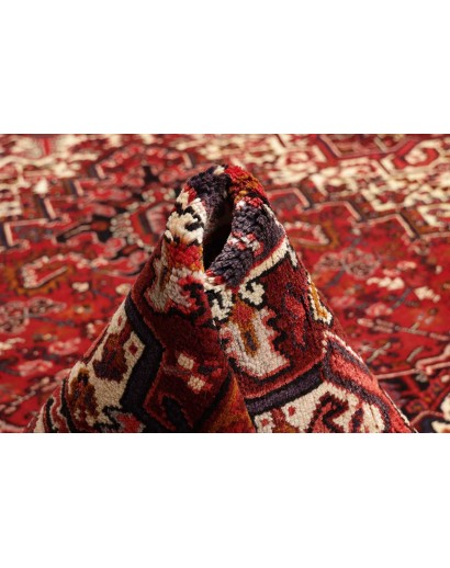 Tappeto Gorawan Persia marrone giallo 252x367