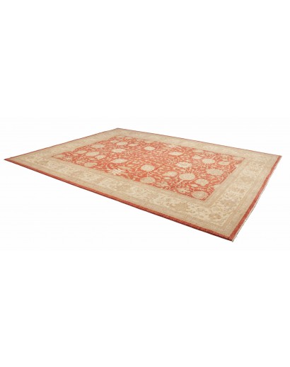 Tappeto Zigler Fine Pakistan marrone 309x390