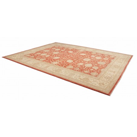 Tappeto Zigler Fine Pakistan marrone 309x390