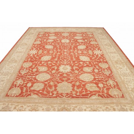 Tappeto Zigler Fine Pakistan marrone 309x390