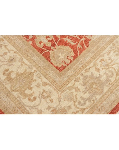 Tappeto Zigler Fine Pakistan marrone 309x390