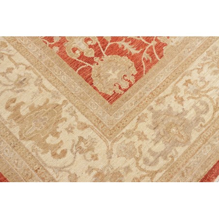 Tappeto Zigler Fine Pakistan marrone 309x390