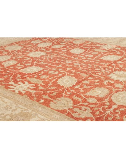 Tappeto Zigler Fine Pakistan marrone 309x390