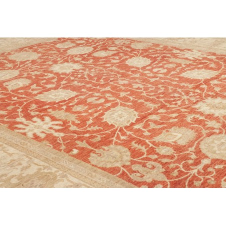 Tappeto Zigler Fine Pakistan marrone 309x390