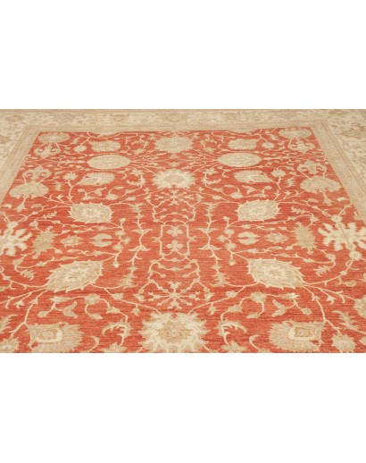 Tappeto Zigler Fine Pakistan marrone 309x390