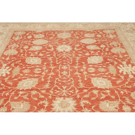 Tappeto Zigler Fine Pakistan marrone 309x390