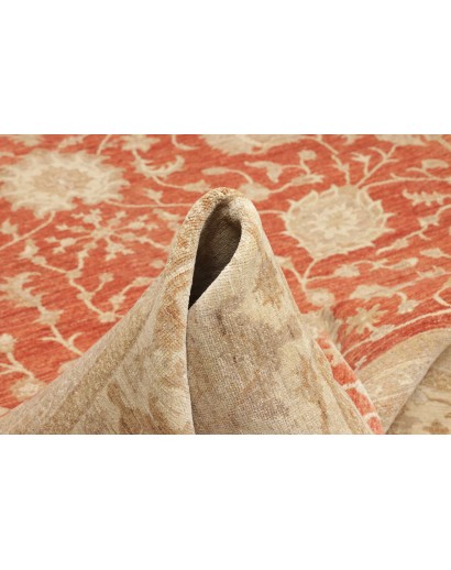 Tappeto Zigler Fine Pakistan marrone 309x390