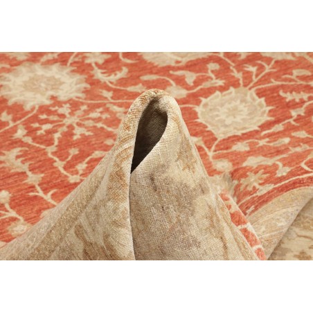 Tappeto Zigler Fine Pakistan marrone 309x390