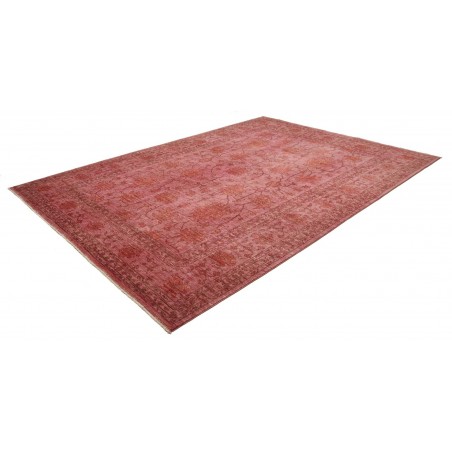 Tappeto Zigler Fine Pakistan marrone 249x339