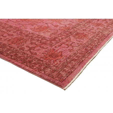 Tappeto Zigler Fine Pakistan marrone 249x339