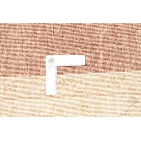 Tappeto Zigler Fine Pakistan marrone 170x227