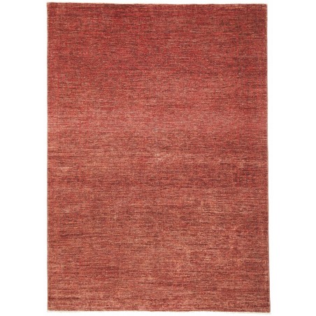 Tappeto Zigler Fine Pakistan marrone 172x240