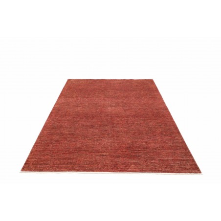 Tappeto Zigler Fine Pakistan marrone 172x240