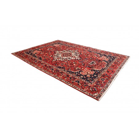 Tappeto Bakhtiyar Persia marrone giallo 228x326