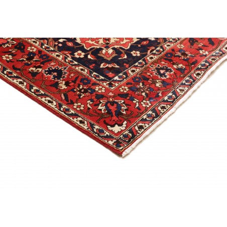 Tappeto Bakhtiyar Persia marrone giallo 228x326