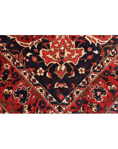 Tappeto Bakhtiyar Persia marrone giallo 228x326