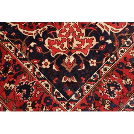 Tappeto Bakhtiyar Persia marrone giallo 228x326