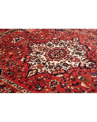 Tappeto Bakhtiyar Persia marrone giallo 228x326