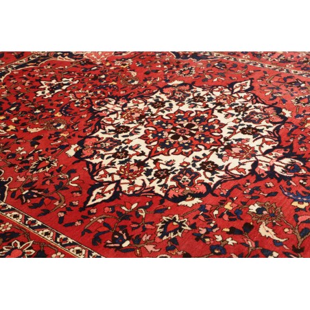 Tappeto Bakhtiyar Persia marrone giallo 228x326