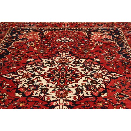 Tappeto Bakhtiyar Persia marrone giallo 228x326