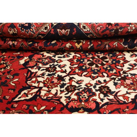 Tappeto Bakhtiyar Persia marrone giallo 228x326