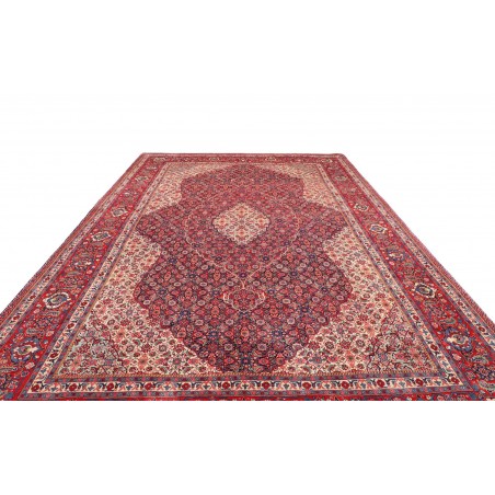 Tappeto Sarough Persia marrone 280x406