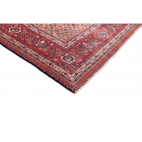 Tappeto Sarough Persia marrone 280x406