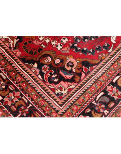 Tappeto Hamadan Fine Persia marrone giallo 231x340