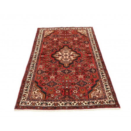 Tappeto Hamadan Persia marrone rosso 100x176