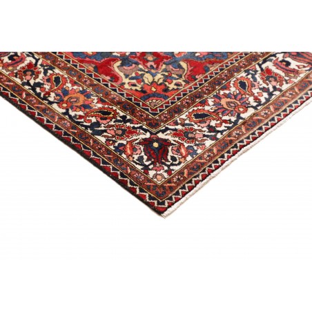 Tappeto Bakhtiyar Persia marrone giallo 168x322