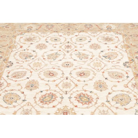 Tappeto Zigler Fine Pakistan giallo bianco 170x243