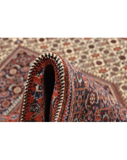 Tappeto Bidjar Persia azzurro marrone 295x388