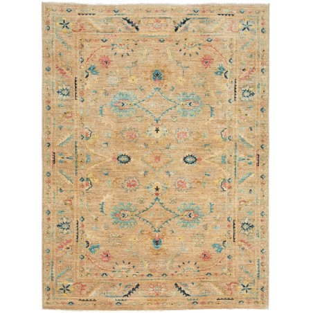 Tappeto Zigler Fine Pakistan marrone grigio 153x205