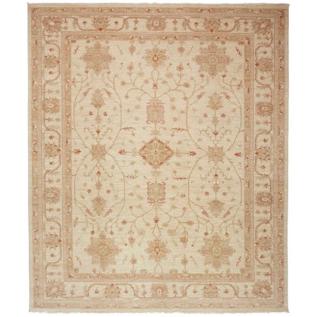 Tappeto Zigler Fine Pakistan marrone 246x295