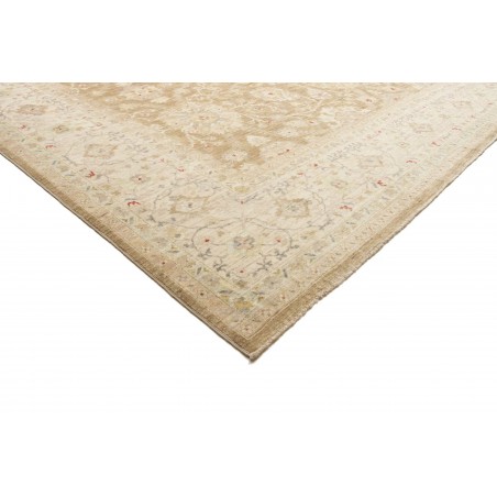 Tappeto Bamyan Pakistan marrone 305x426