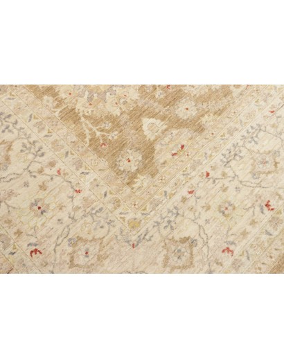 Tappeto Bamyan Pakistan marrone 305x426