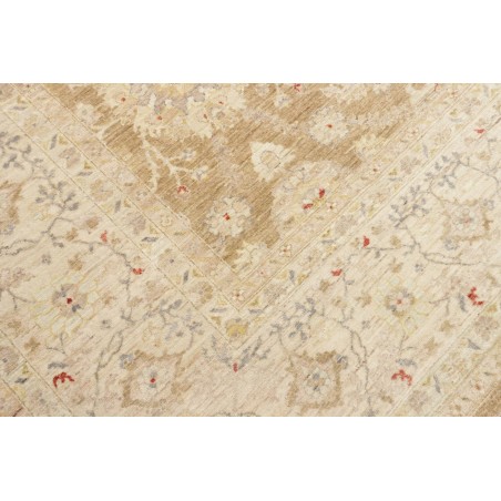 Tappeto Bamyan Pakistan marrone 305x426