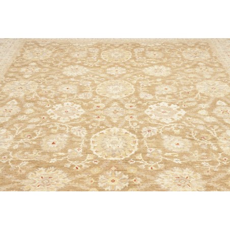 Tappeto Bamyan Pakistan marrone 305x426