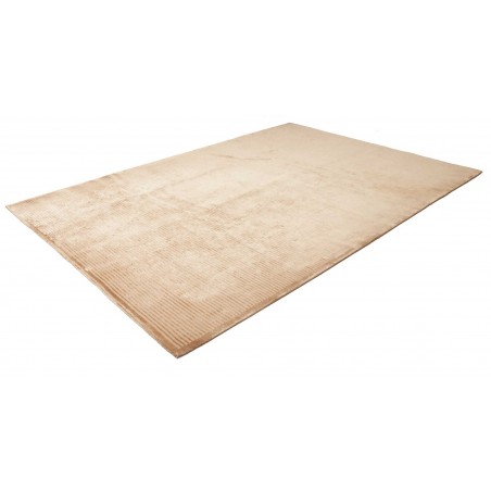 Tappeto marrone 200x300