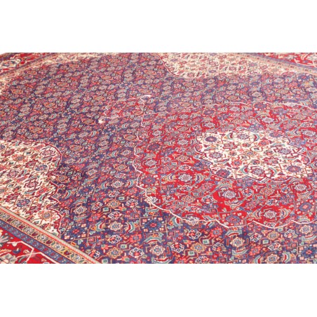 Tappeto Sarough Persia marrone bianco 212x308