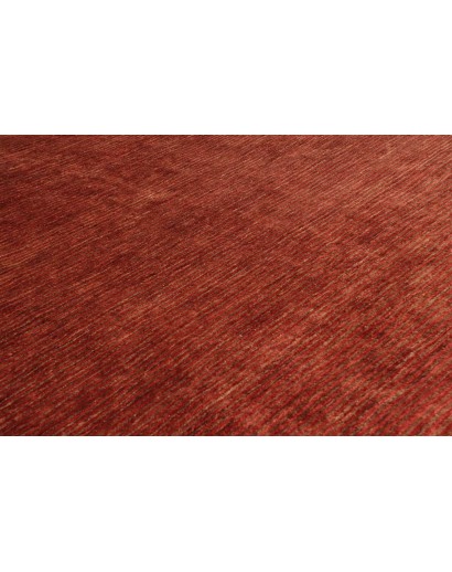 Tappeto Shayan Pakistan marrone arancione 249x349