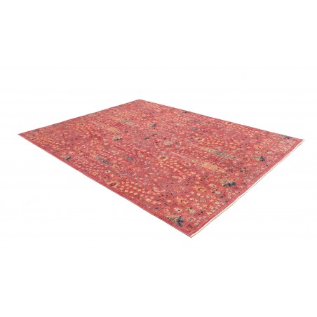 Tappeto Shahi Fine Pakistan rosso 201x256