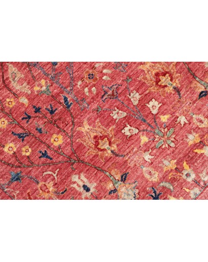 Tappeto Shahi Fine Pakistan rosso 201x256
