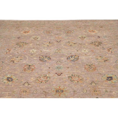 Tappeto Zigler Fine Pakistan marrone 202x293
